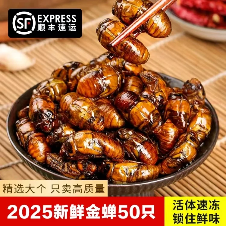 Z【大个金蝉】新鲜当季金蝉松蝉知了 姐猴 爬叉速冻顺丰冷链发货