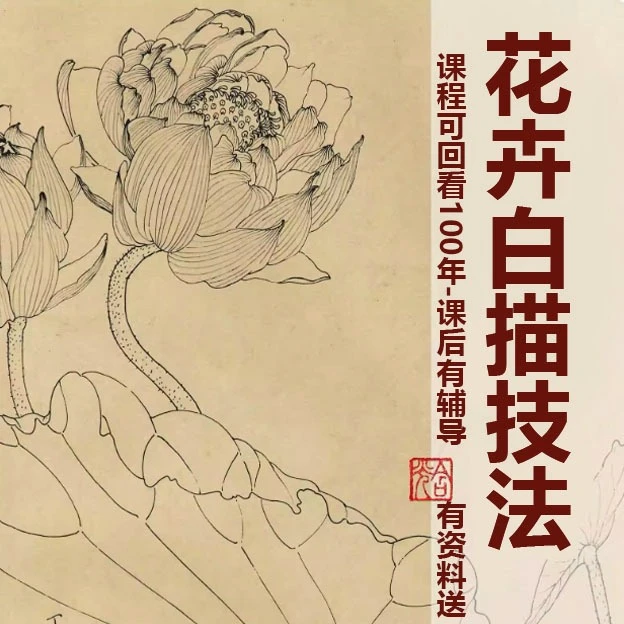 花卉白描画法-40个精讲案例(留意短信解锁课程)