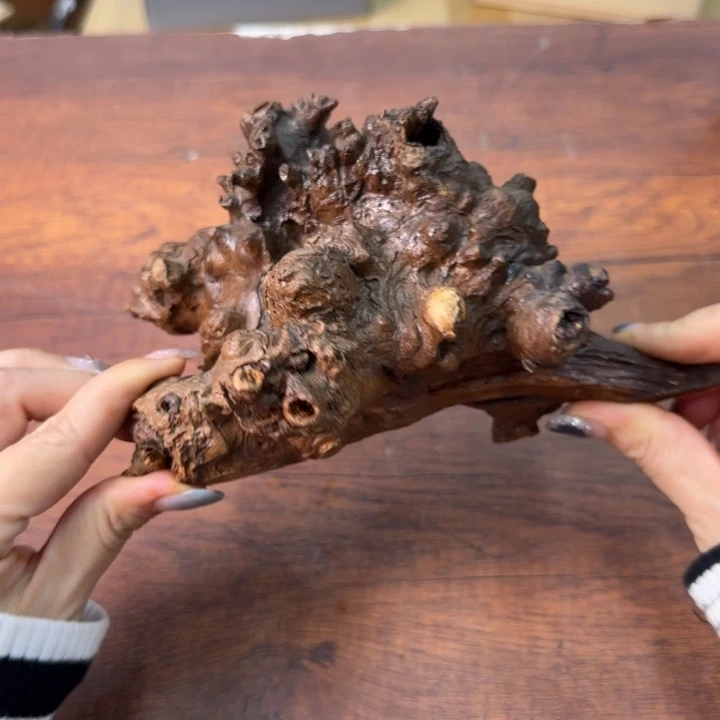 陶瓷陶瓷陶瓷陶瓷陶瓷