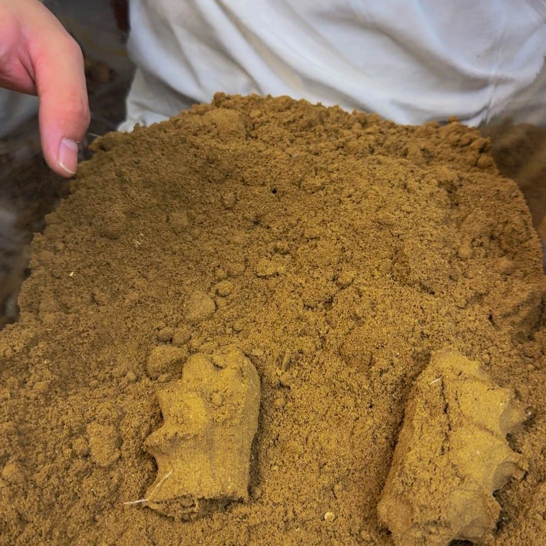 沉香碎屑沉香海南小叶陆河99沉锯粉100克（赠5克）