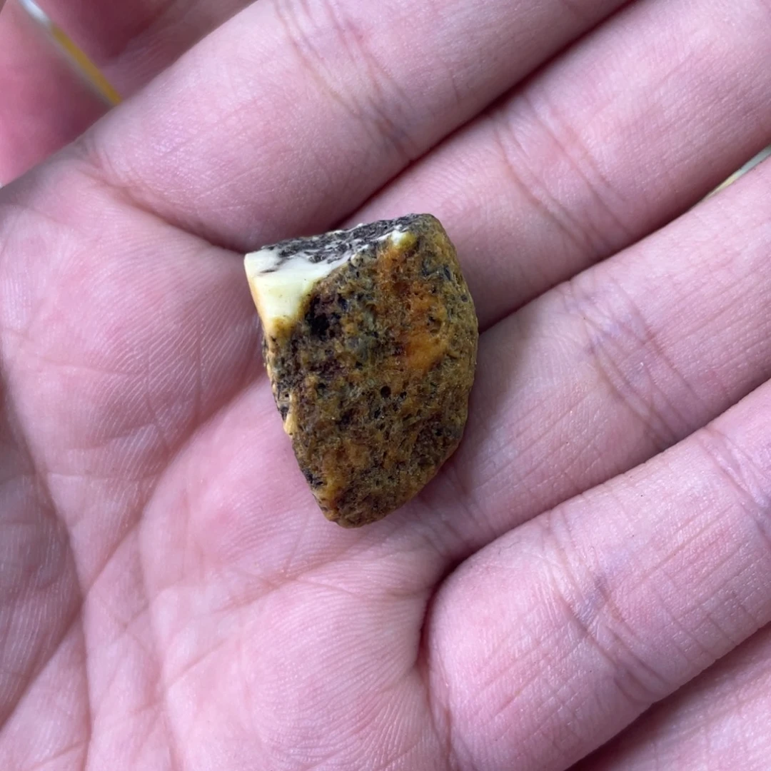 兔***定制琥珀天然琥珀