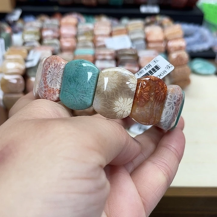 未镶嵌手串硅化珊瑚（珊瑚玉）173