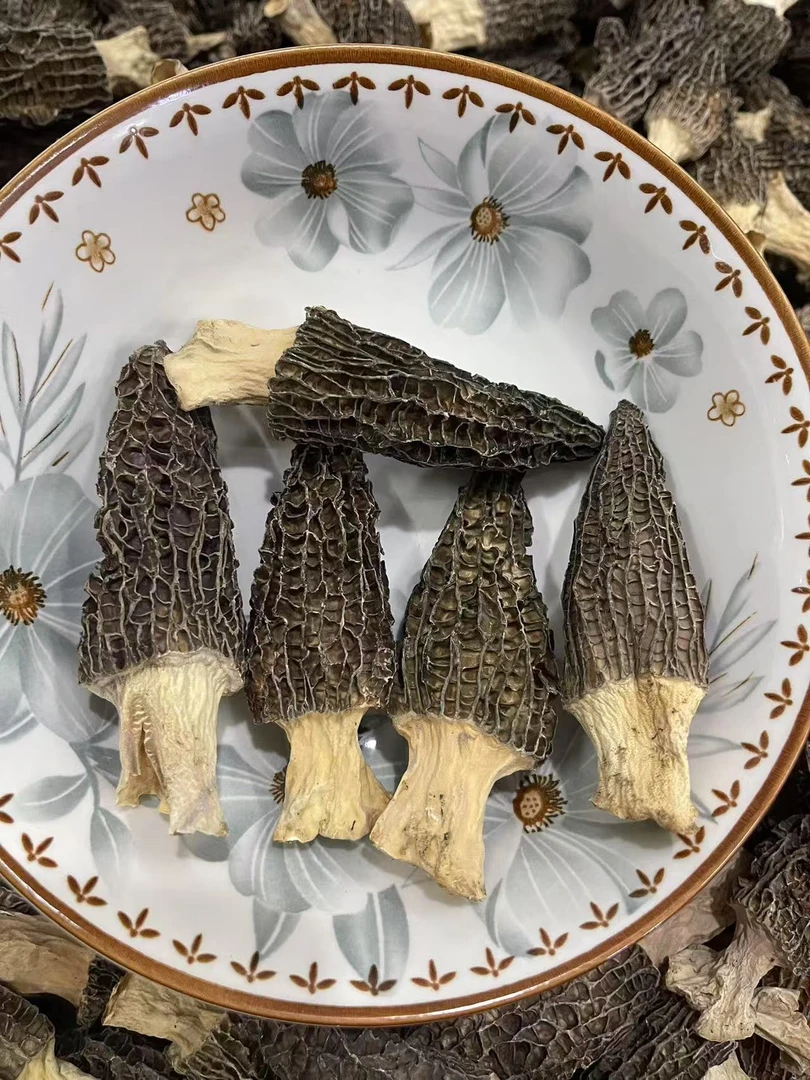 四川高山羊肚菌头茬肉厚