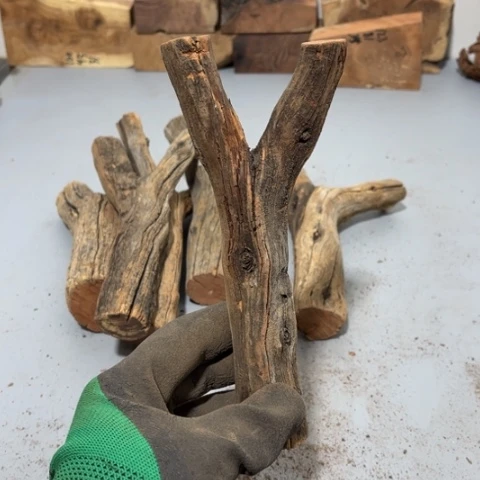 大果紫檀（缅甸花梨）N*