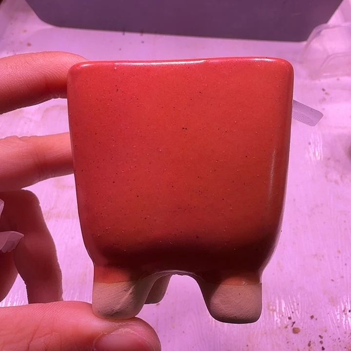 盆38，橙色小方，闲置处理不介意的拍！