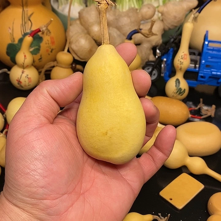 K***?精品葫芦手把葫芦16