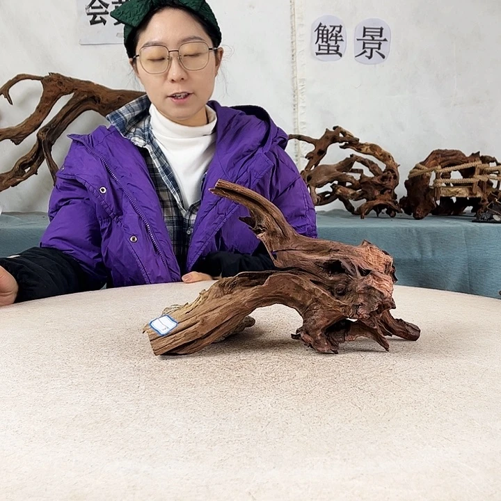 沉木造景爬宠造景