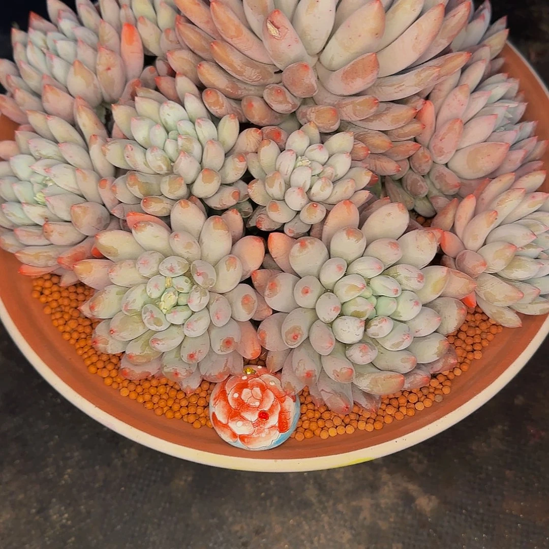 明***行看看咯哦咯哦哦哦哦哦哦哦哦哦哦呢