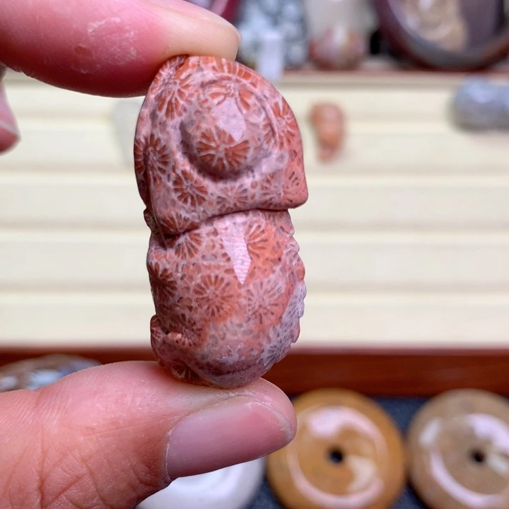 硅化珊瑚（珊瑚玉）未镶嵌颈饰