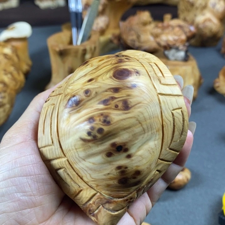 柏木（崖柏）崖柏瘤疤