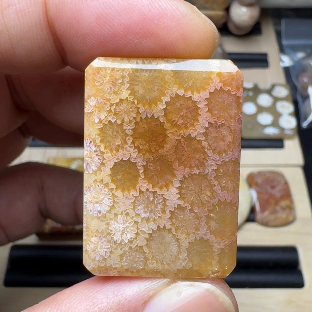 硅化珊瑚（珊瑚玉）未镶嵌纯天然色有机玉石保真色