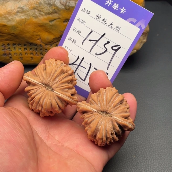 核桃四座楼45尺寸全品