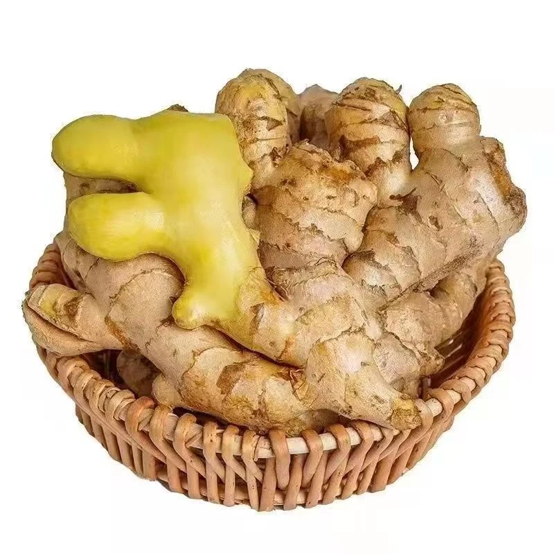云南小黄姜生姜老姜新鲜现挖嫩姜黄姜新鲜蔬菜小黄姜一件代发