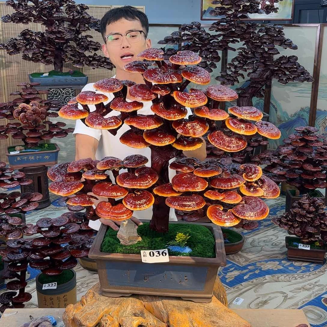 无花朵88888888888888888888