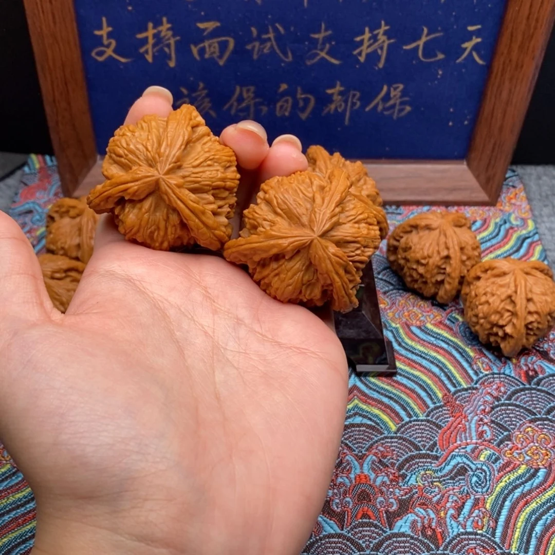 【闪购商品】康*龙白狮