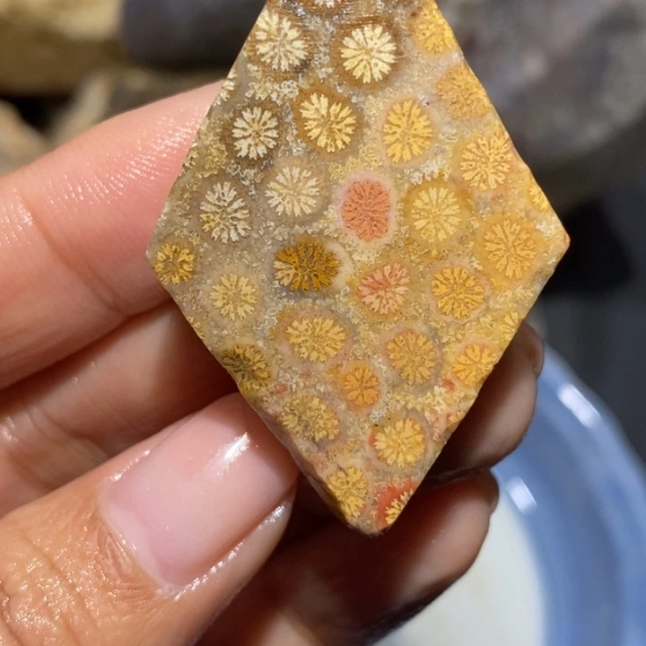 【闪购商品】未镶嵌珊瑚玉硅化玉