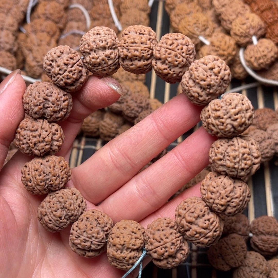 菩提中*尼泊尔大金刚龙牙梅花20+