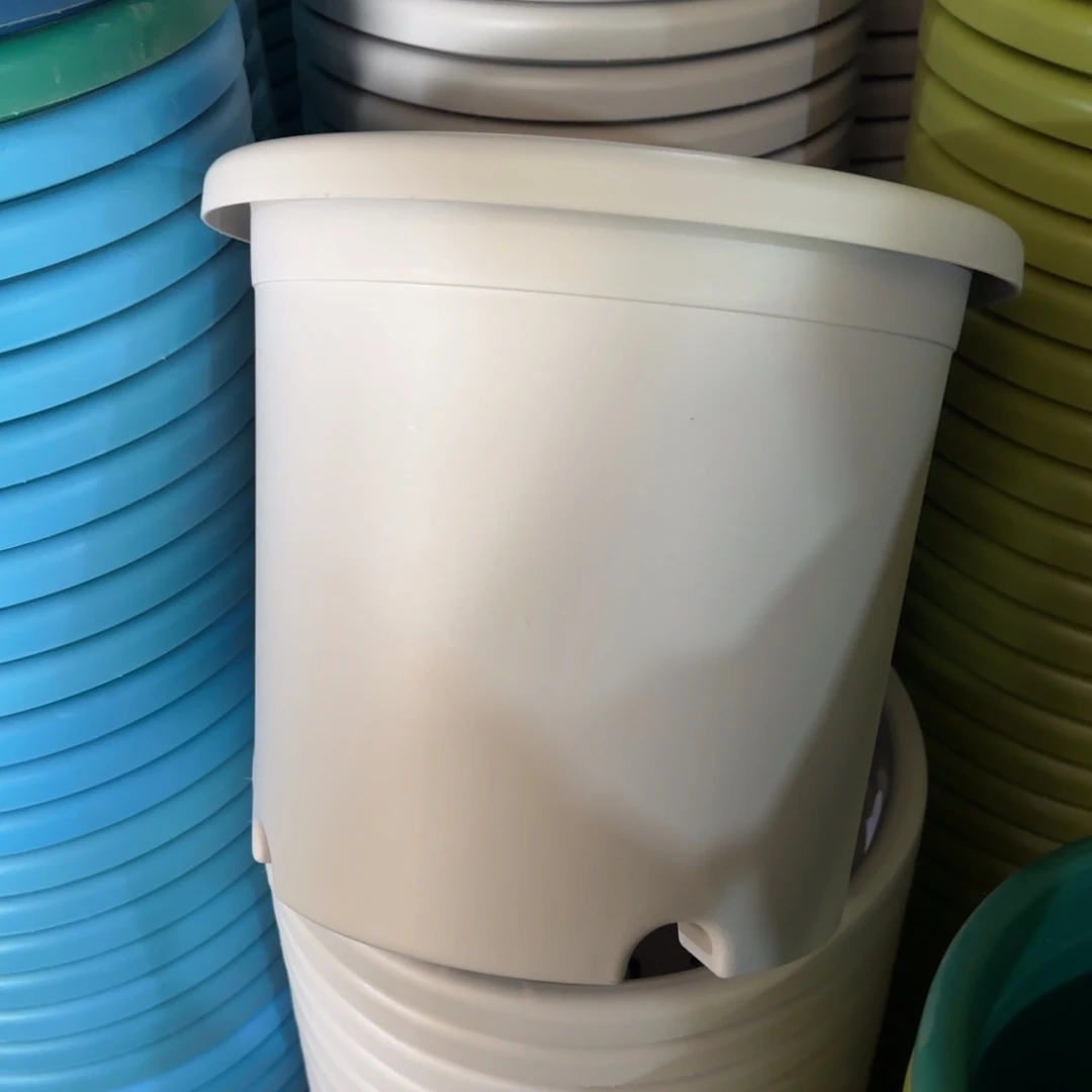 树脂特价4#无拖灰白8个