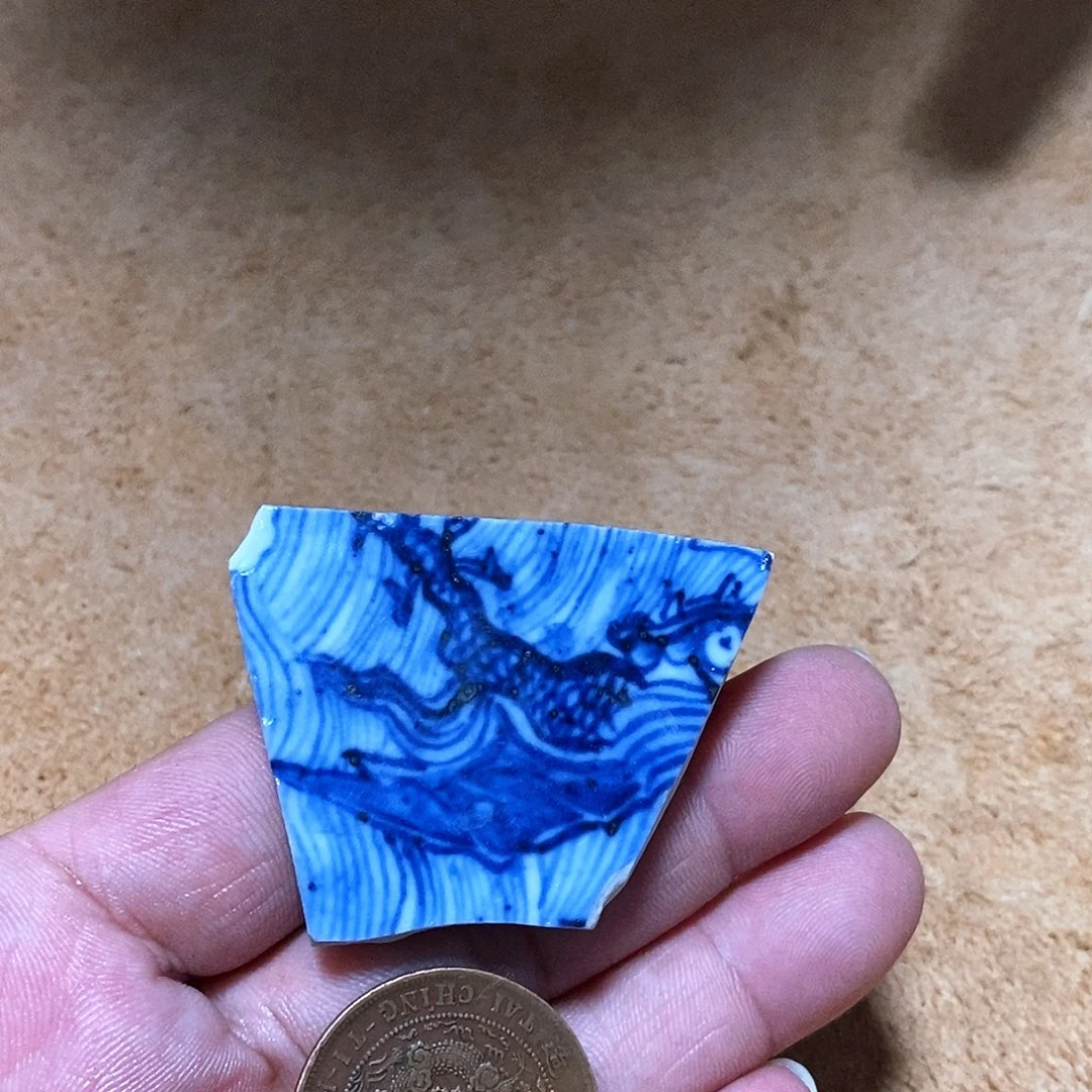 铁精美瓷器学习标本
