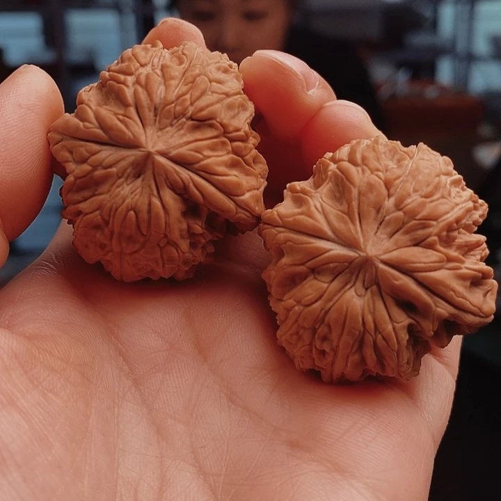 核桃38尺暴雪核桃