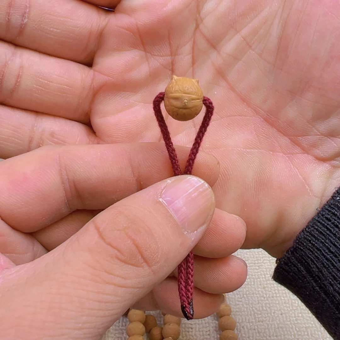 手串凤眼菩提凤眼菩提异形单株