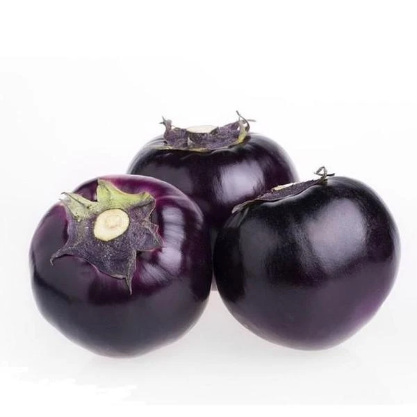 【明月果蔬】现摘新鲜圆茄子三斤茄子同城送