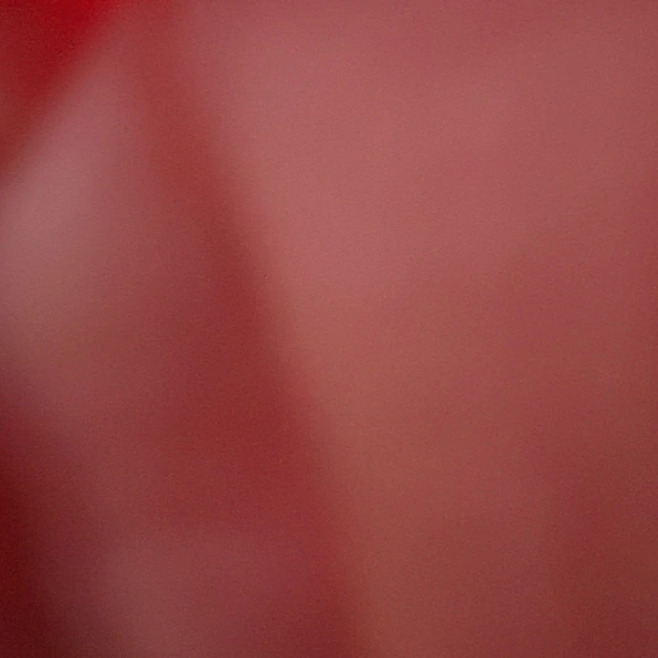 ʚ**cnbxvxhjzjzj365yinghuo