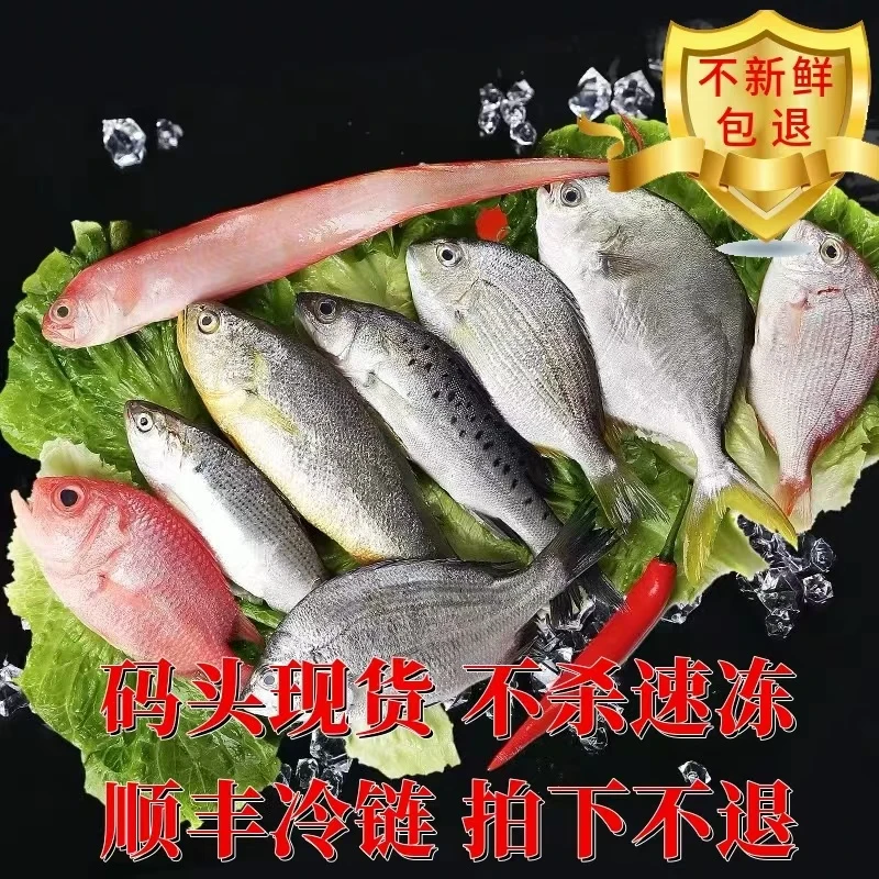 【大表哥】（实物已直播间现拍为准）拍下不退慎拍顺丰冷链运输1斤装精品海鲜