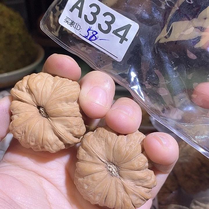 桃核把件南瓜核桃