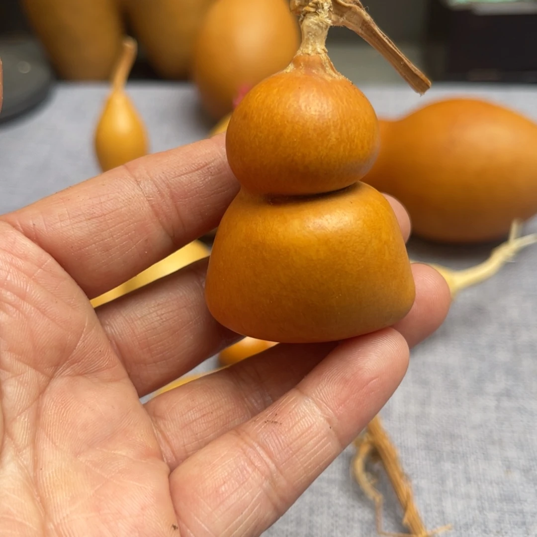 小***糕葫芦哈哈哈哈哈哈