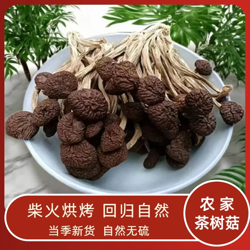 农家自产精选5号未开伞茶树菇菌类山珍菌菇无硫煲汤
