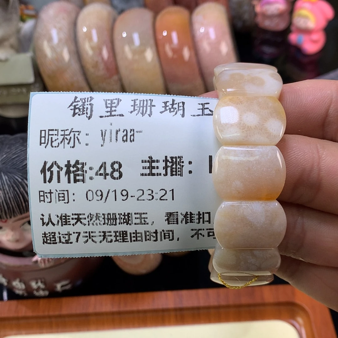 【闪购商品】颈饰未镶嵌硅化珊瑚（珊瑚玉）y****-
