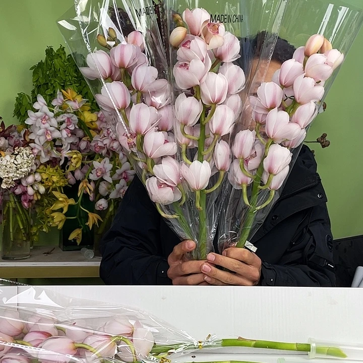 完全开放A级诱惑3支