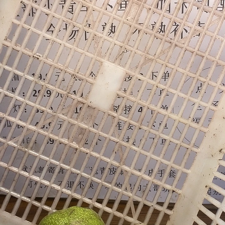 吊坠文玩核桃白狮子