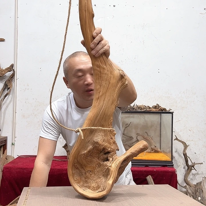 柏木木**木我们的生活也是如此的