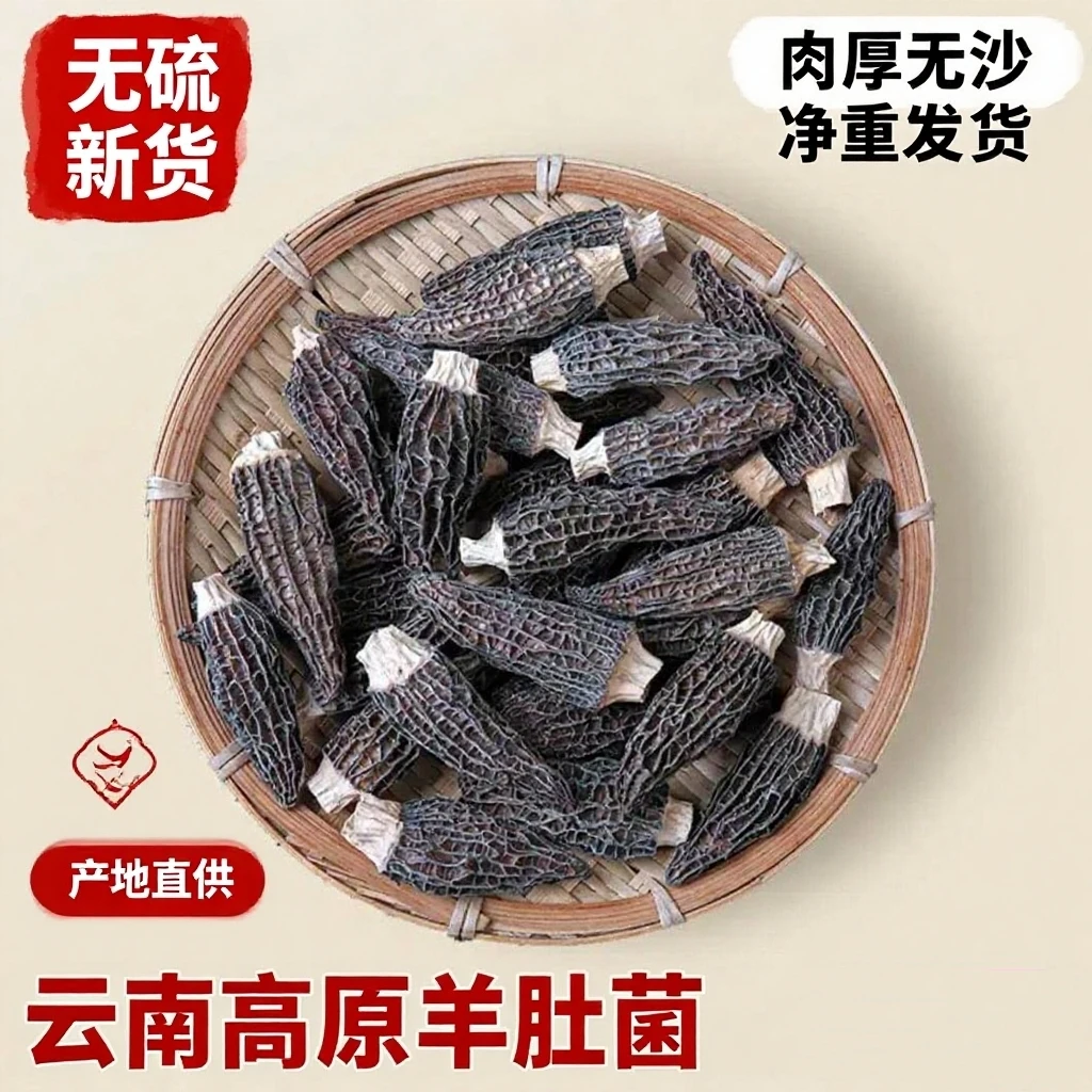 云南高山羊肚菌精品六妹25年头茬肉厚煲汤土特产干货