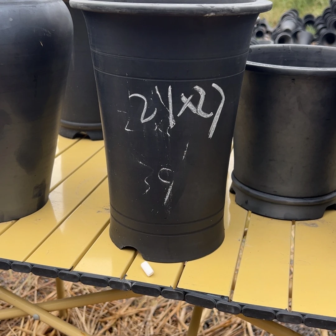 大***人口径21高度27十个