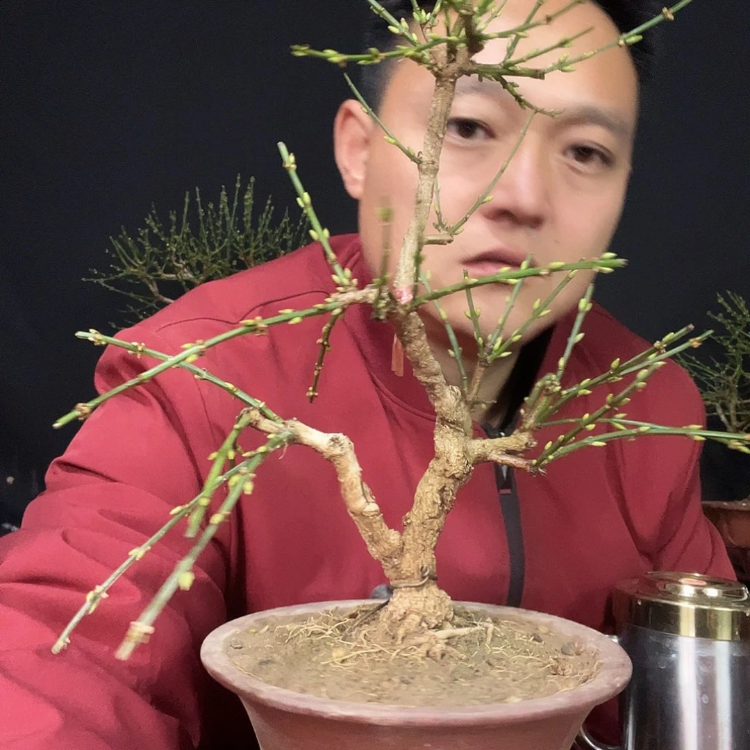 今***爱无花朵谢谢你的关心和支持