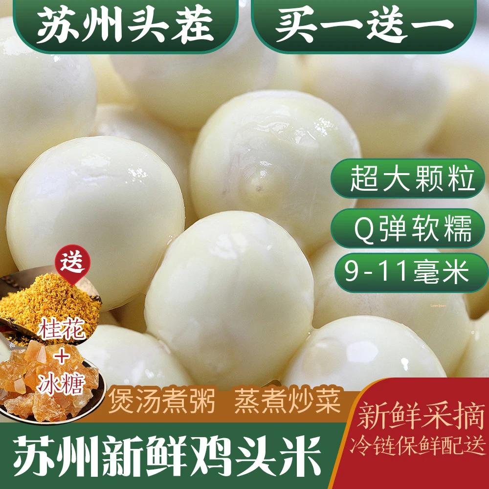 【买一斤送一斤】超大颗粒苏州新鲜鸡头米芡实软糯Q弹好吃鲜冷链送