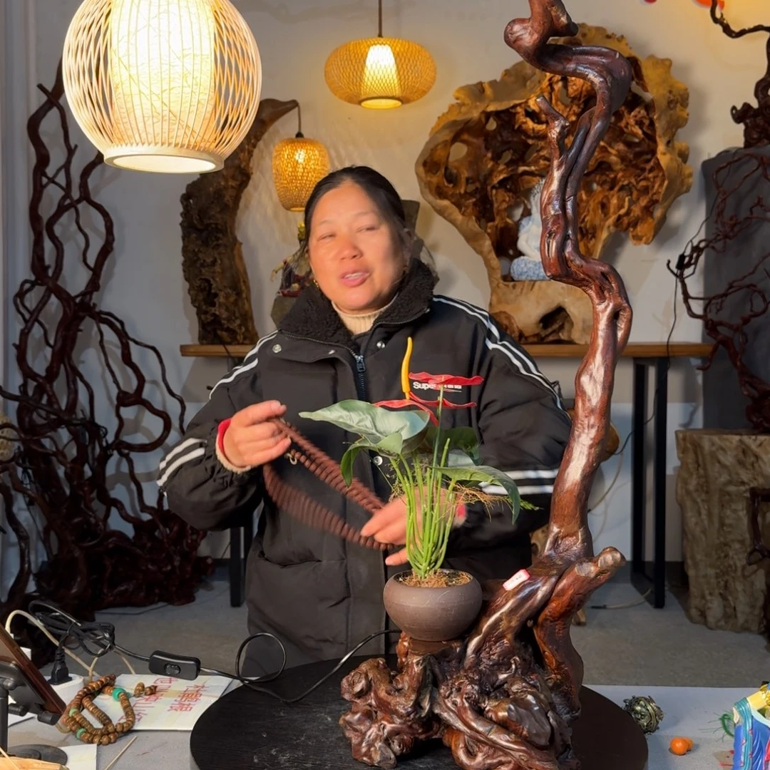 星***缘香榧木重中之重就是888888