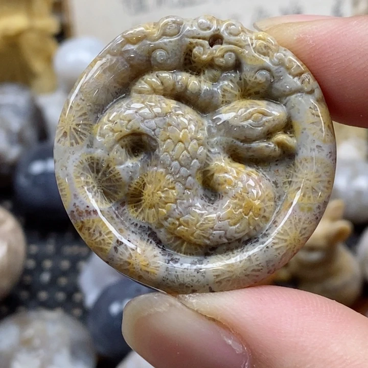 颈饰未镶嵌硅化珊瑚（珊瑚玉）小