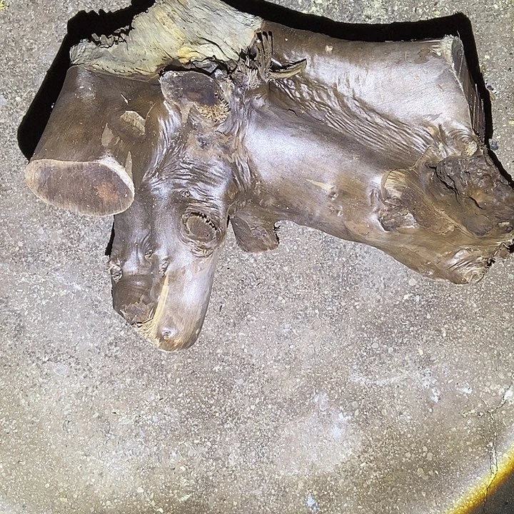 怪***鱼楠木（金丝楠）手串/手链