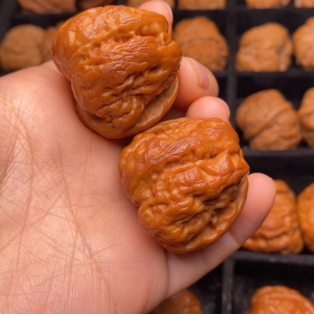 秦岭野生文玩核桃