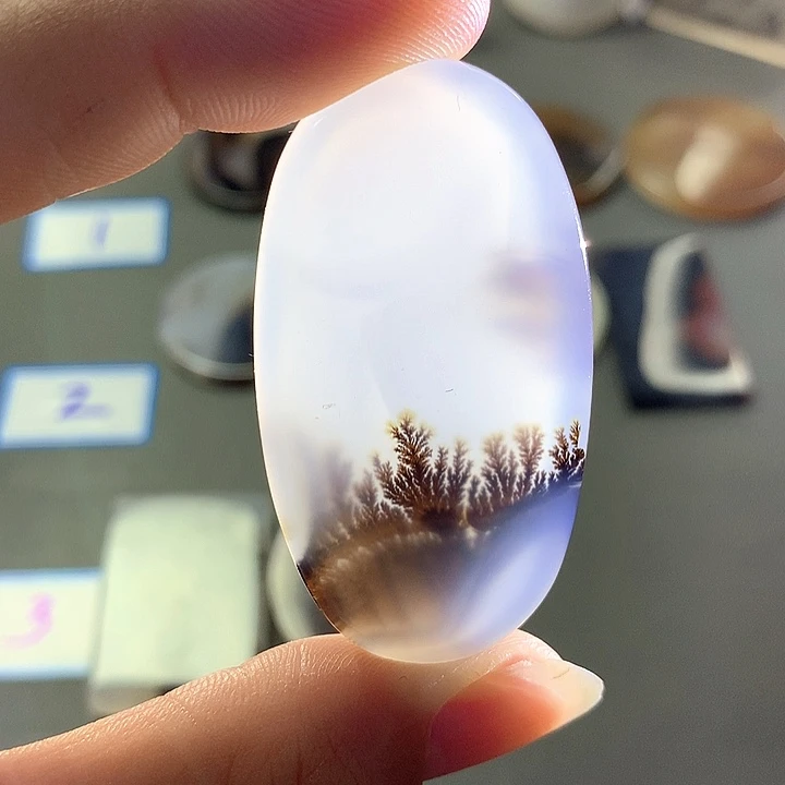 未镶嵌颈饰玛瑙/玉髓