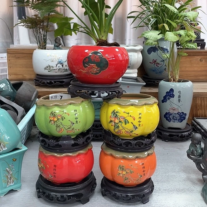 陶瓷花盆精美抢购哦