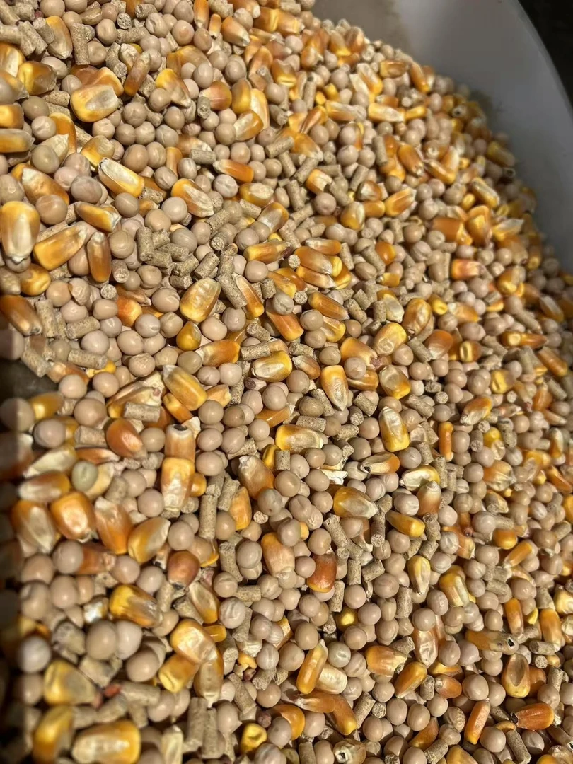 鸽用 保健砂 鸽 粮五谷杂粮 豌豆 颗粒料 鸽粮食 高粱