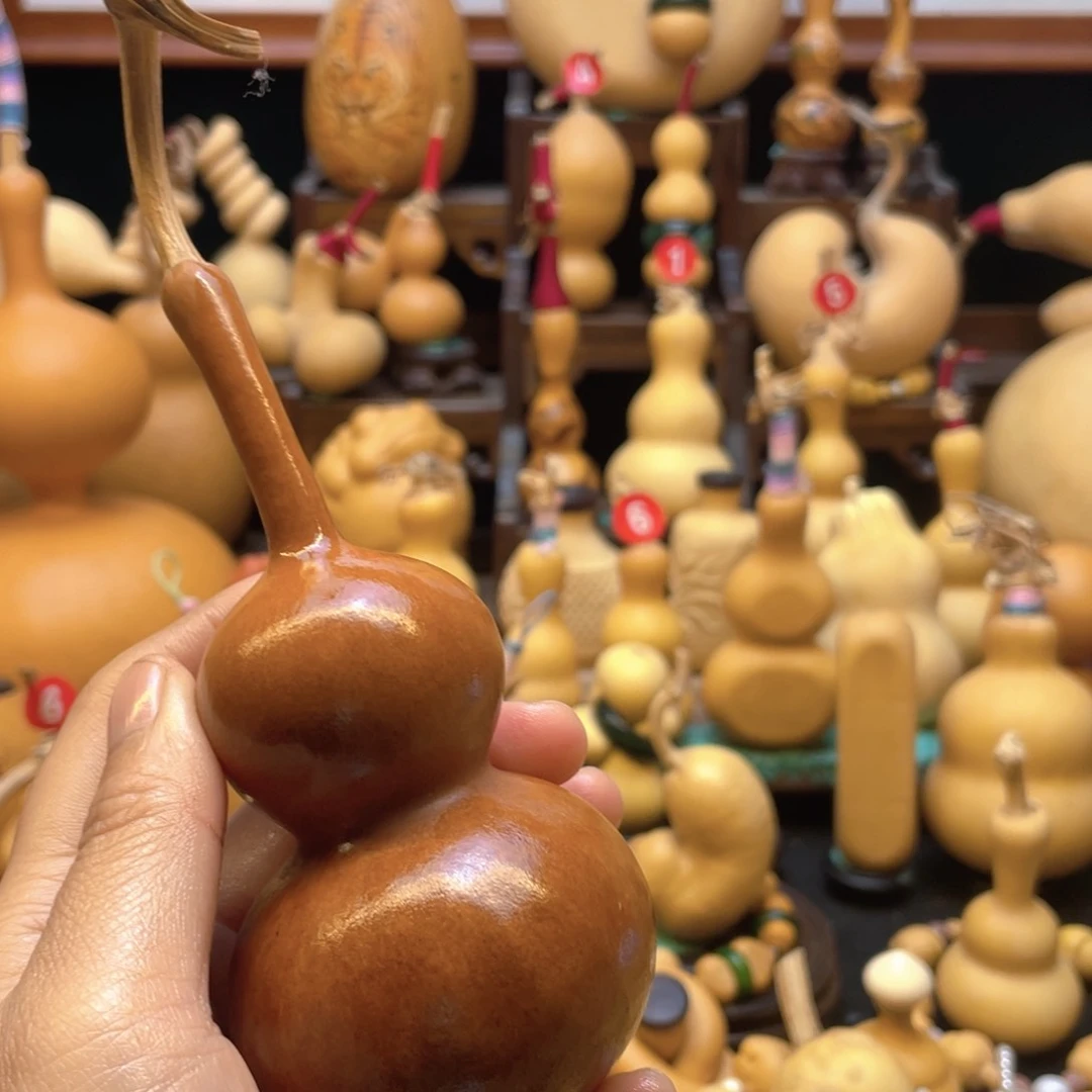 福*大自然的秘密第十节第二十