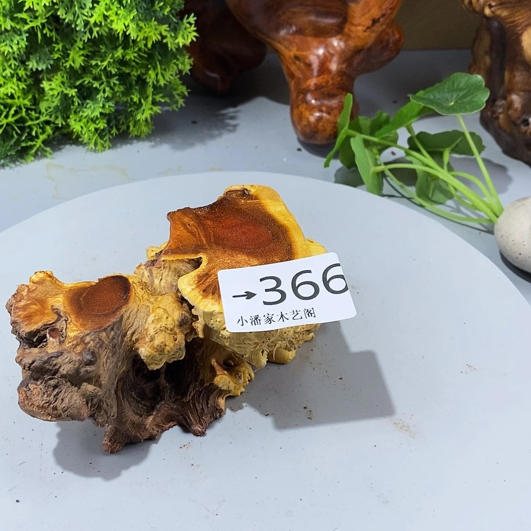 香榧木说**已火琉璃底座