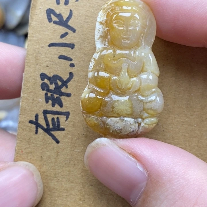 硅化珊瑚（珊瑚玉）未镶嵌颈饰