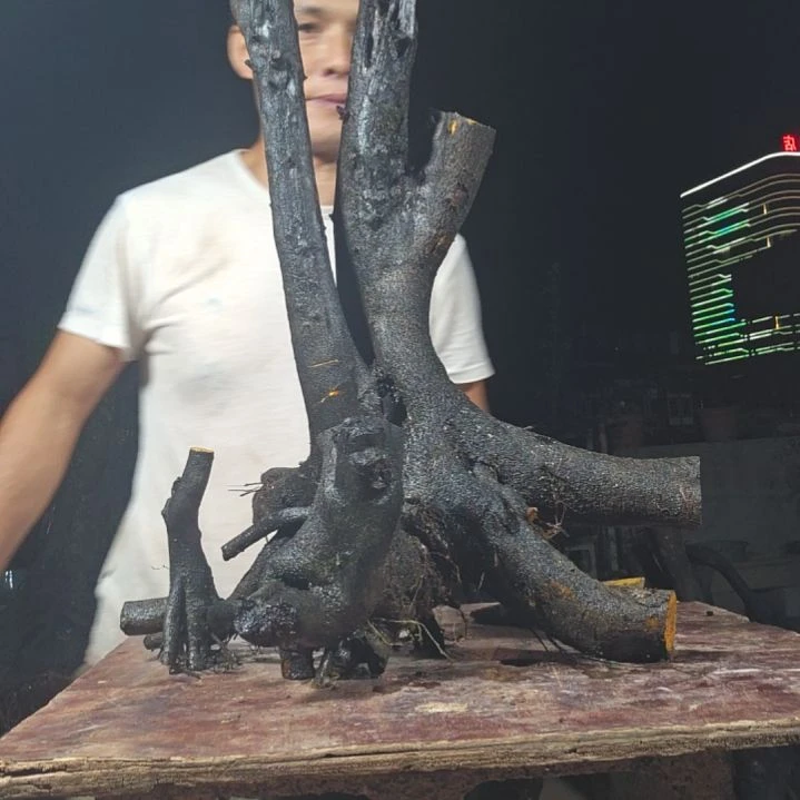崔***哥无花朵金单子当前无花果